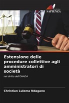 Christian Lulema Ndagano - Estensione delle procedure collettive agli amministratori di società