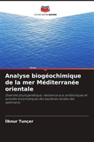 ¿Lknur Tunçer, Ilknur Tunçer - Analyse biogéochimique de la mer Méditerranée orientale