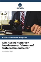 Christian Lulema Ndagano - Die Ausweitung von Insolvenzverfahren auf Unternehmensleiter