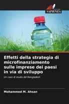 Mohammed M. Ahsan - Effetti della strategia di microfinanziamento sulle imprese dei paesi in via di sviluppo