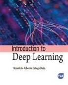 Mauricio Alberto Ortega Ruiz - Introduction to Deep Learning