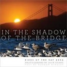 Dick Evans - In the Shadow of the Bridge