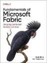 Ben Weissman, Nikola Ilic, Nikola ILIC, Ben Weissman - Fundamentals of Microsoft Fabric