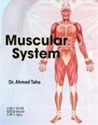 Ahmed Taha - Muscular System