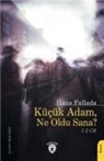 Hans Fallada - Kücük Adam, Ne Oldu Sana
