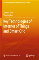Shuping Bao, Xianwu Zeng - Key Technologies of Internet of Things and Smart Grid