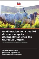 Arumugam Kumaresan, Kailasam Murugavel, Sirivati Venkatesh - Amélioration de la qualité du sperme après décongélation chez les taureaux Ongole.