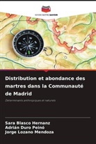 Sara Blasco Hernanz, Adrián Duro Peinó, Jorge Lozano Mendoza - Distribution et abondance des martres dans la Communauté de Madrid