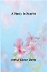 Arthur Conan Doyle - A Study in Scarlet