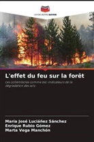 María José Luciáñez Sánchez, Enrique Rubio Gómez, Marta Vega Manchón - L'effet du feu sur la forêt