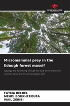 FATMA BELBEL, Mehdi BOUKHEROUFA, WAIL ZERIBI - Micromammal prey in the Edough forest massif