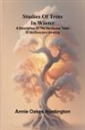 Annie Oakes Huntington - Studies of trees in winter