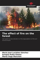 María José Luciáñez Sánchez, Enrique Rubio Gómez, Marta Vega Manchón - The effect of fire on the forest