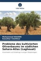 Kaouthar CHETTFOUR, Mohammed Kouidri - Probleme des kultivierten Olivenbaums im südlichen Sahara-Atlas (Laghouat)