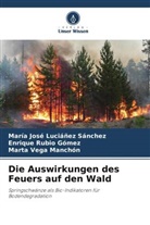 María José Luciáñez Sánchez, Enrique Rubio Gómez, Marta Vega Manchón - Die Auswirkungen des Feuers auf den Wald