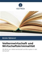 Arsim Gjinovci - Vetternwirtschaft und Wirtschaftskriminalität