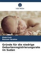 Ehab Frah, Bassam Ibrahim - Gründe für die niedrige Geburtenregistrierungsrate im Sudan
