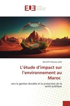 BELGHITI Moulay Lafdil - L'étude d'impact sur l'environnement au Maroc