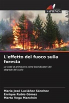 María José Luciáñez Sánchez, Enrique Rubio Gómez, Marta Vega Manchón - L'effetto del fuoco sulla foresta