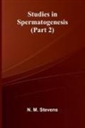 N. M. Stevens - Studies in Spermatogenesis (Part 2)