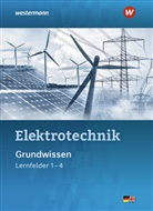 Dag Dag Pechtel, Dag Dr. Dag Pechtel, Heinrich Hübscher, Heinrich u Hübscher, Jürgen Klaue, Mike Thielert - Elektrotechnik