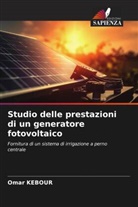 Omar Kebour - Studio delle prestazioni di un generatore fotovoltaico