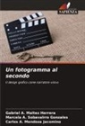 Gabriel A. Maltez Herrera, Carlos A. Mendoza Jacomino, Marcela A. Sobavalrro Gonzales - Un fotogramma al secondo