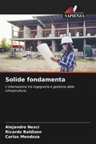 Ricardo Baldizon, Carlos Mendoza, Alejandro Nesci - Solide fondamenta