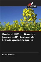 Rohit Kalotra - Ruolo di HB1 in Brassica Juncea sull'infezione da Meloidogyne Incognita