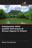 Selasi Yao Avornyo - Valutazione della qualità dell'acqua di alcune lagune in Ghana