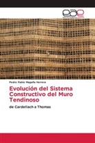 Pedro Pablo Magaña Herrera - Evolución del Sistema Constructivo del Muro Tendinoso