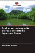 Selasi Yao Avornyo - Évaluation de la qualité de l'eau de certains lagons au Ghana