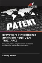 Andrey Amand - Brevettare l'intelligenza artificiale negli USA: TRIZ, ARIZ