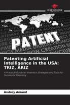 Andrey Amand - Patenting Artificial Intelligence in the USA: TRIZ, ARIZ