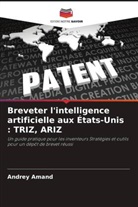 Andrey Amand - Breveter l'intelligence artificielle aux États-Unis : TRIZ, ARIZ
