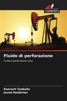 Javad Heidarian, Koorosh Tookallo - Fluido di perforazione