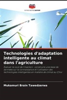 Mukamuri Brain Tawedzerwa - Technologies d'adaptation intelligente au climat dans l'agriculture