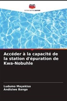 Andisiwe Bango, Ludumo Mayekiso - Accéder à la capacité de la station d'épuration de Kwa-Nobuhle