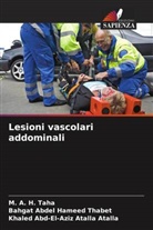 Khaled Abd-El-Aziz Atalla Atalla, M. A. H. Taha, Bahgat Abdel Hameed Thabet - Lesioni vascolari addominali