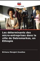 Birhanu Mengist Zewdiea - Les déterminants des micro-entreprises dans la ville de Debremarkos, en Éthiopie