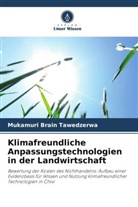 Mukamuri Brain Tawedzerwa - Klimafreundliche Anpassungstechnologien in der Landwirtschaft
