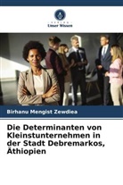 Birhanu Mengist Zewdiea - Die Determinanten von Kleinstunternehmen in der Stadt Debremarkos, Äthiopien