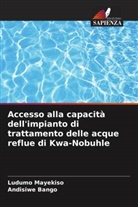 Andisiwe Bango, Ludumo Mayekiso - Accesso alla capacità dell'impianto di trattamento delle acque reflue di Kwa-Nobuhle