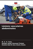 Khaled Abd-El-Aziz Atalla Atalla, M. A. H. Taha, Bahgat Abdel Hameed Thabet - Lésions vasculaires abdominales