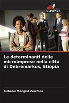 Birhanu Mengist Zewdiea - Le determinanti delle microimprese nella città di Debremarkos, Etiopia