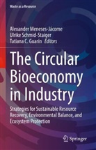 Tatiana C Guarín, Tatiana C Guarín C, Tatiana C. Guarín, Tatiana C. Guarín C., Alexander Meneses-Jácome, Ulrike Schmid-Staiger - The Circular Bioeconomy in Industry