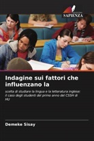 Demeke Sisay - Indagine sui fattori che influenzano la