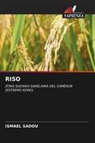 Ismael Sadou - RISO