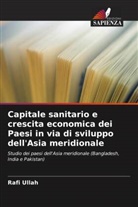 Rafi Ullah - Capitale sanitario e crescita economica dei Paesi in via di sviluppo dell'Asia meridionale