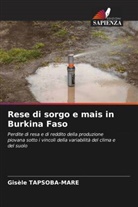 Gisèle TAPSOBA-MARE - Rese di sorgo e mais in Burkina Faso